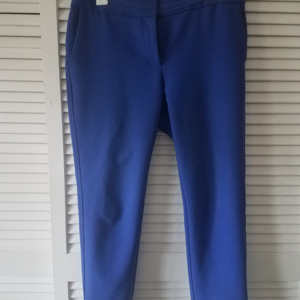 Loft Royal Blue Fitted Pant - Picture 2 of 4